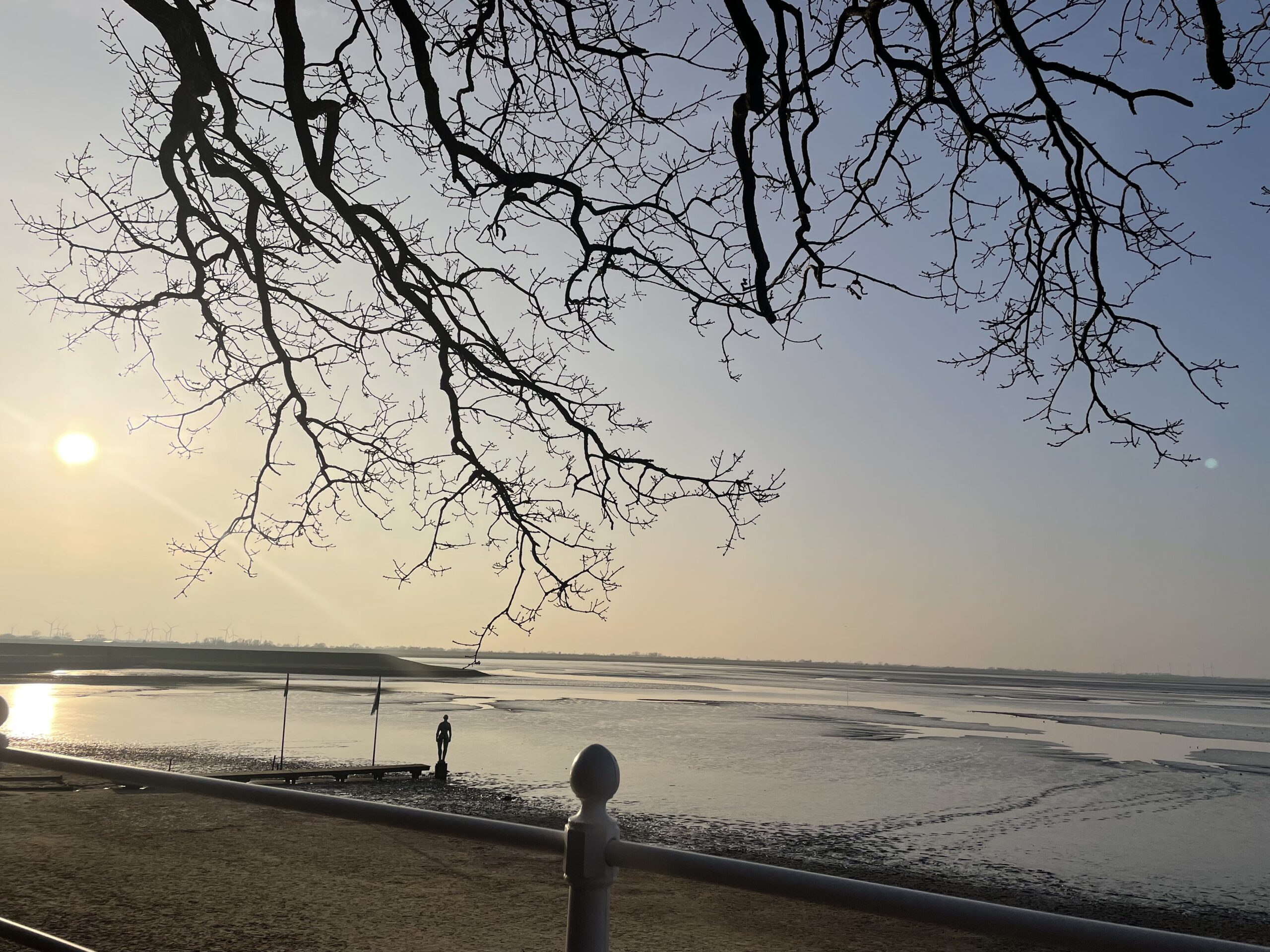 Wattenmeer in Dangast bei ruhigem Abendlicht